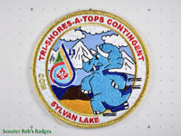 Click to enlarge CJ'13 Tri-Shores Council COM